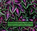 meretricious persiflage