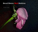 Dead Roses Red Dahlias