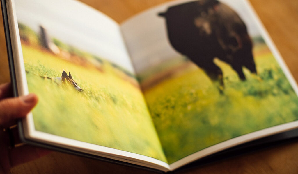 Photo book with a two-page spread image of a dog and cow in a grassy field.