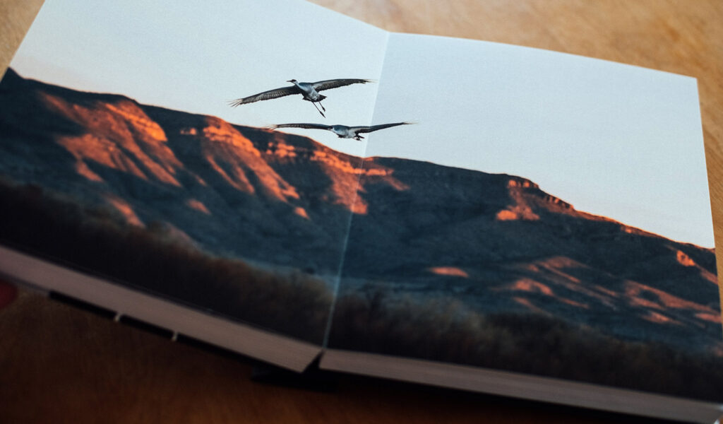 Layflat photo book with a photo fo a mountain range with birds flying