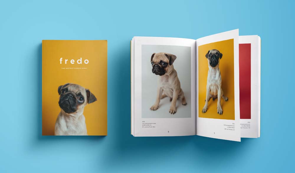 A pet memory book