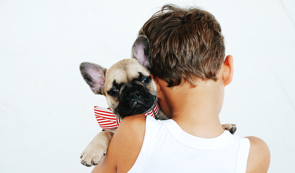 Boy holding a dog for a pet portrait