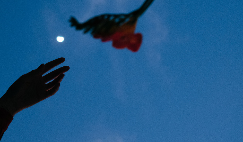 Silhouette of a hand grabbing a flower under the moonlight 