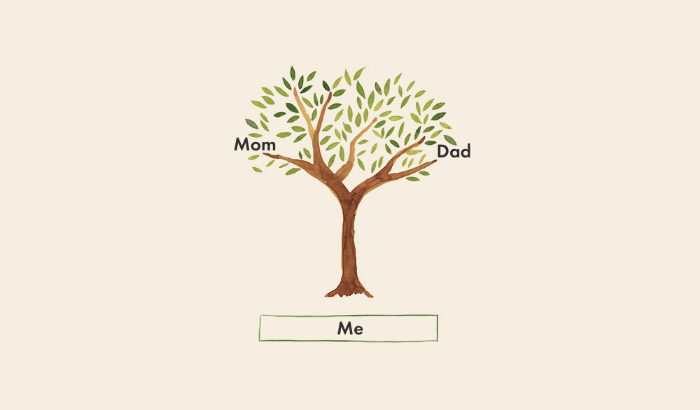 Family Tree Book