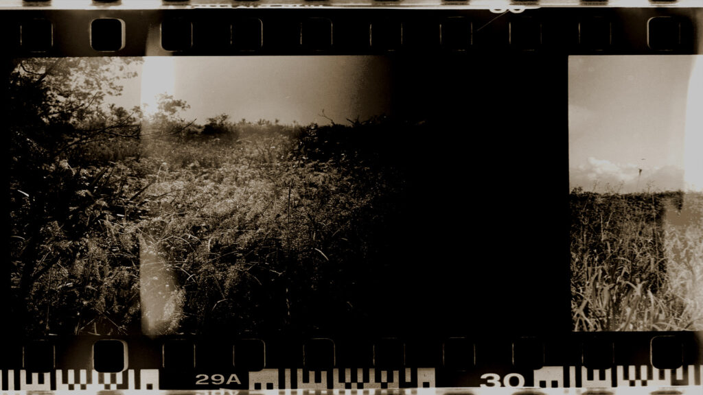 How to Scan Your Old Photos