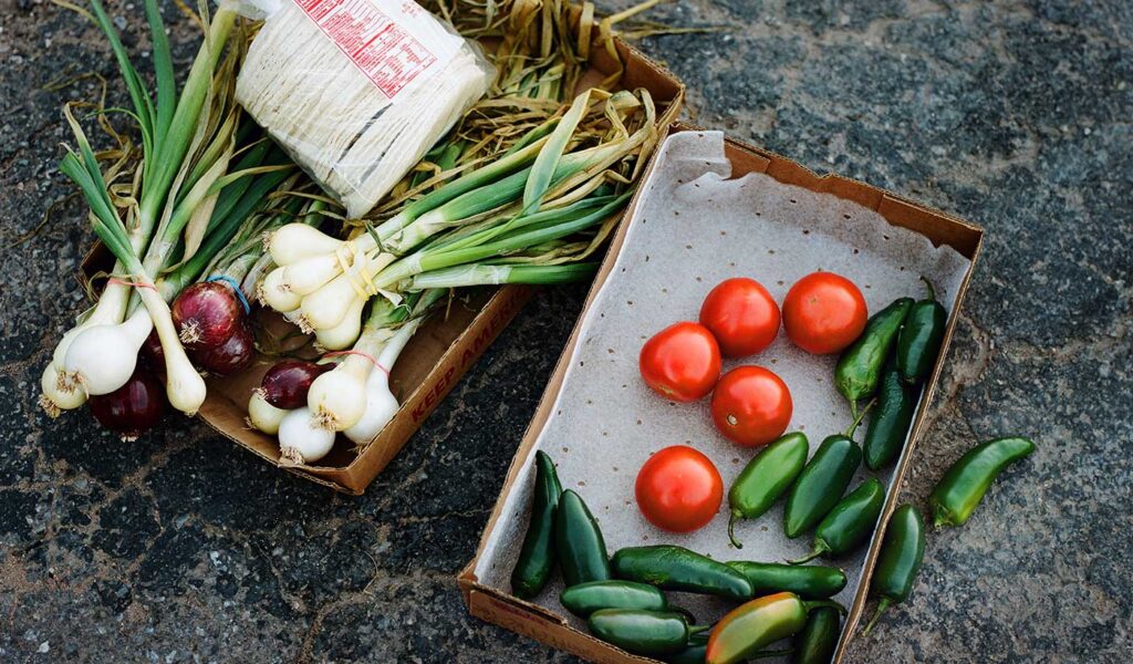 Photograph of Seasonal Vegetables