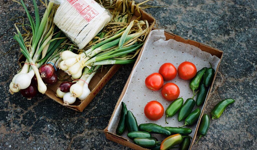 Photograph of Seasonal Vegetables 