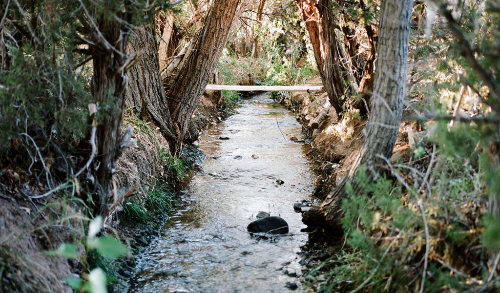 Photograph of a Ravine