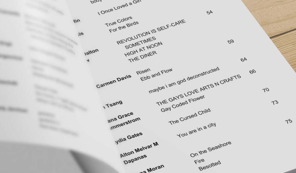 Close up of book showing part of the Table of Contents.