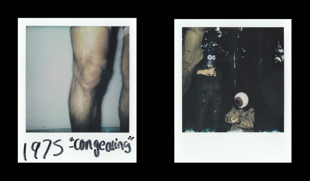 Two Polaroids from Wisdom Teeth by Rose Boakes, a self-published photography zine, with creative imagery.