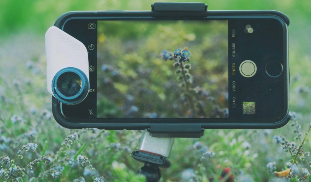 Smartphone on a tripod with a clip-on lens, screen showing a close-up photo of a small flower in a field.